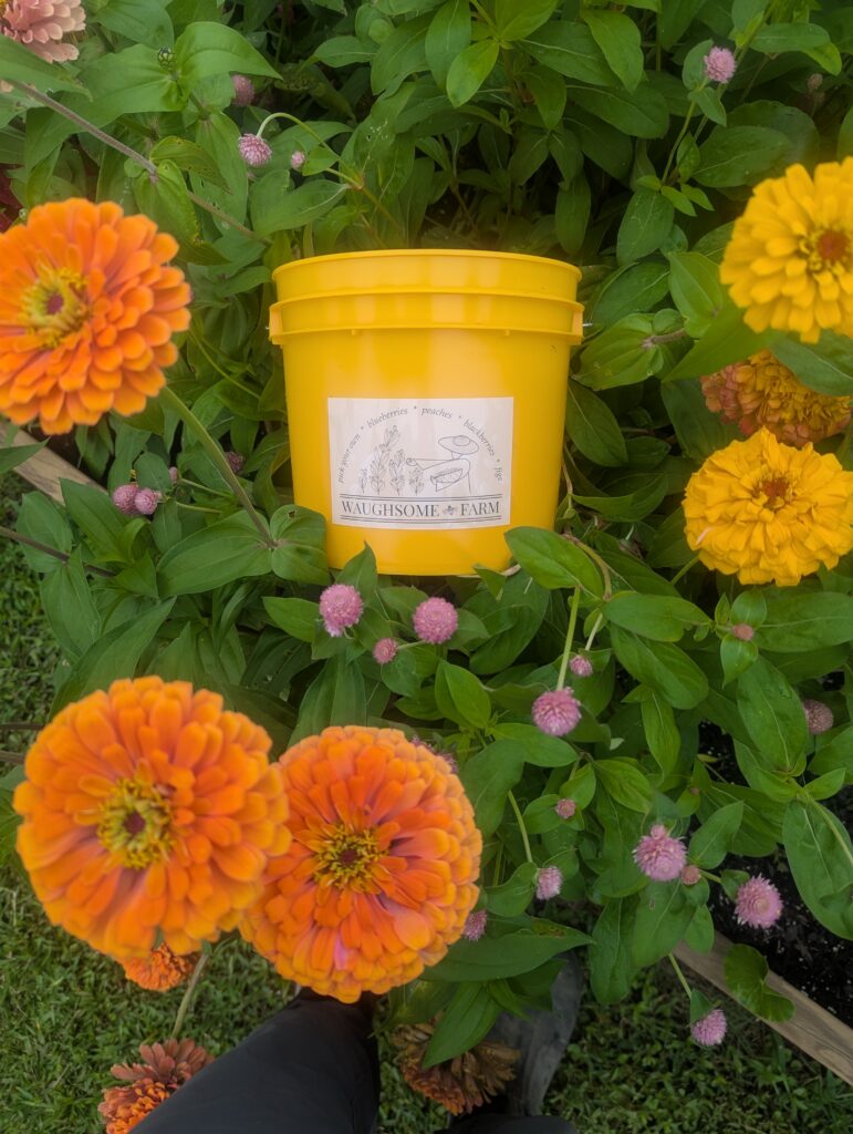 A plastic golden colored bucket with Waughsome Farm logo surrounded by flowers in bloom.