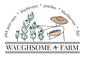 Waughsome Farm logo with a hand-drawn fruit picker in a sun hat and carrying a basket picking blueberries. Across the top it says pick-your-own - blueberries - peaches - blackberries - figs.